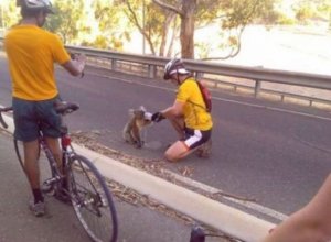 fotó:theoddstuff.com