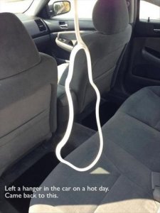 fotó:theoddstuff.com