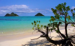  8 Lanikai Beach Kailua, Hawaii 